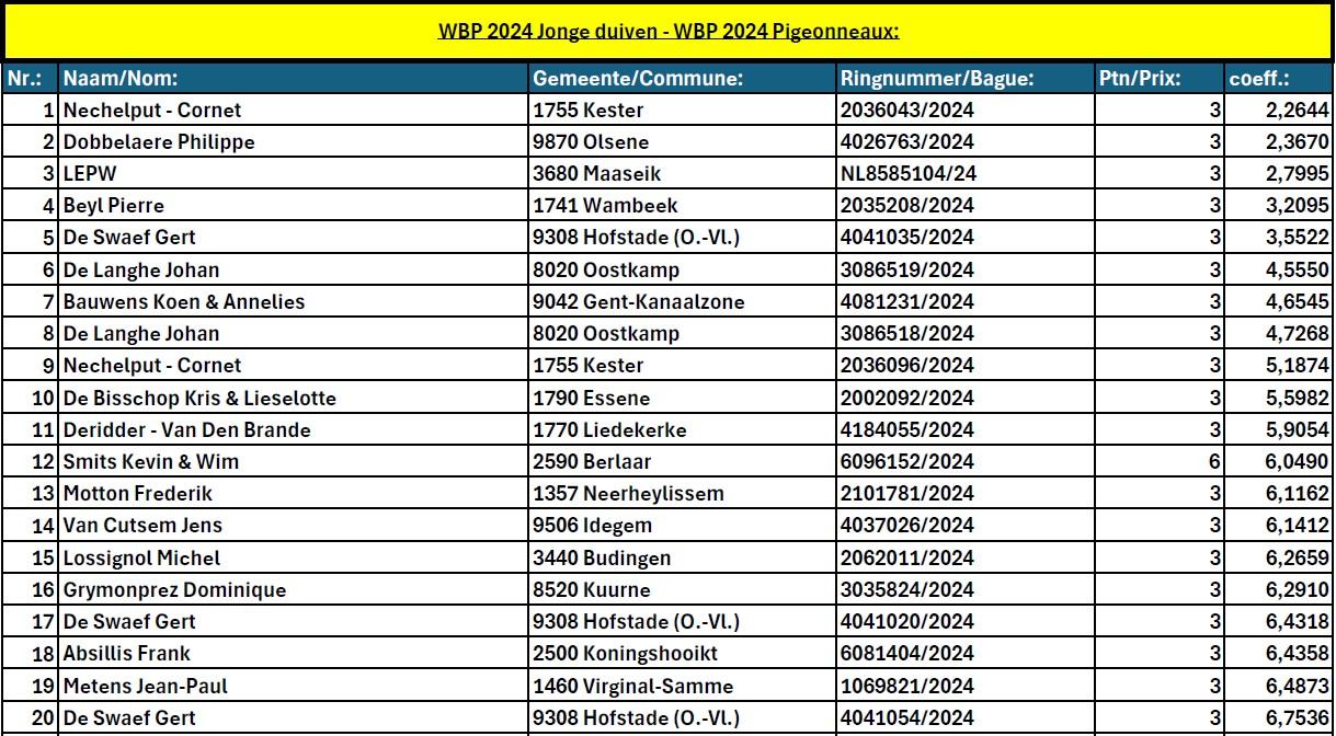 wbp-2024-jonge-duiven-wbp-2024-pigeonneaux.jpg