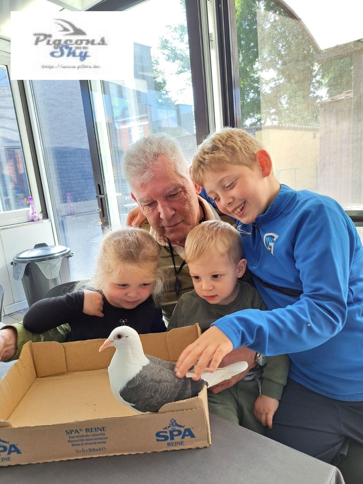fb-lutgarde-jos-dams-vanbrabant-30-mei-2-kleinkinderen-beetje-dollen-met-jonge-duif.jpg