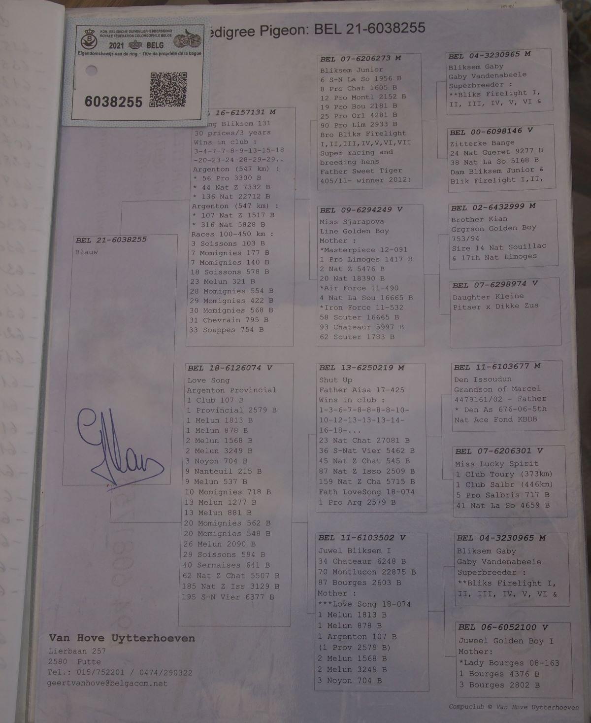 pitts-verelstw-pitts-be21-6038255-255-pedigree.jpg