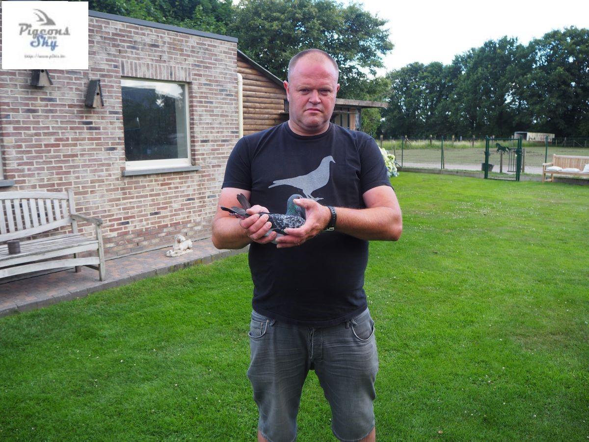 BE24-6094186 '186' > 2x Top3 + 1e Quievrain >Carl Lambrechts