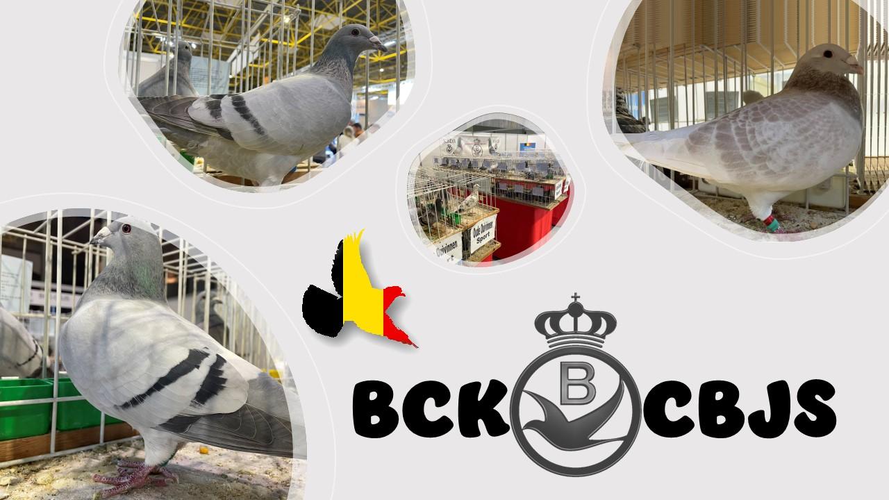 BCK - Opleiding voor standaardkeurmeesters