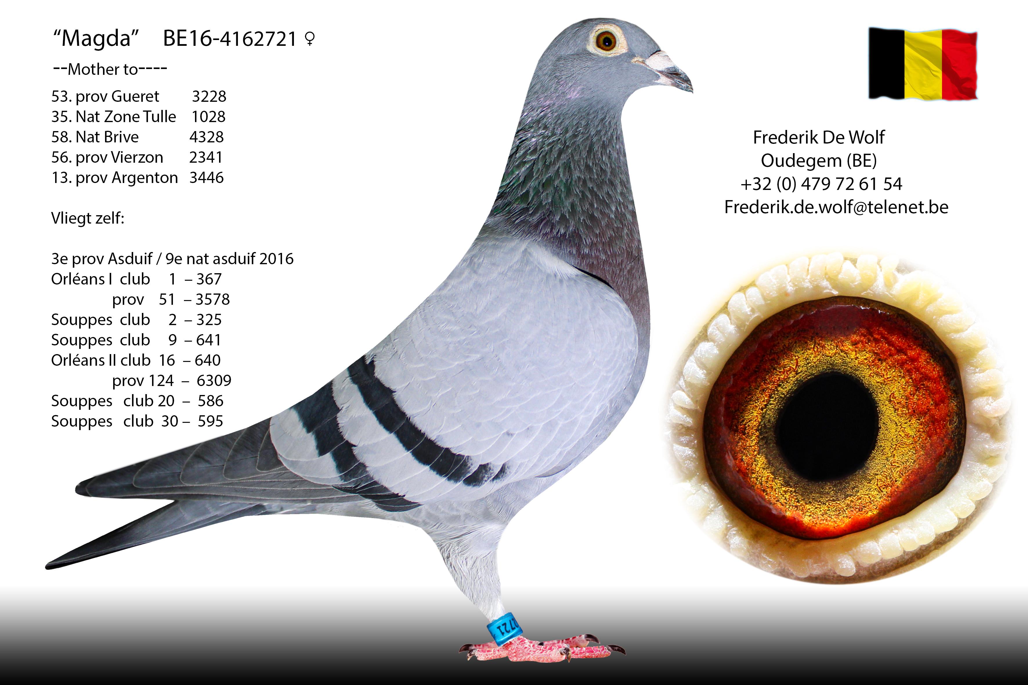 be16-41627211.jpg