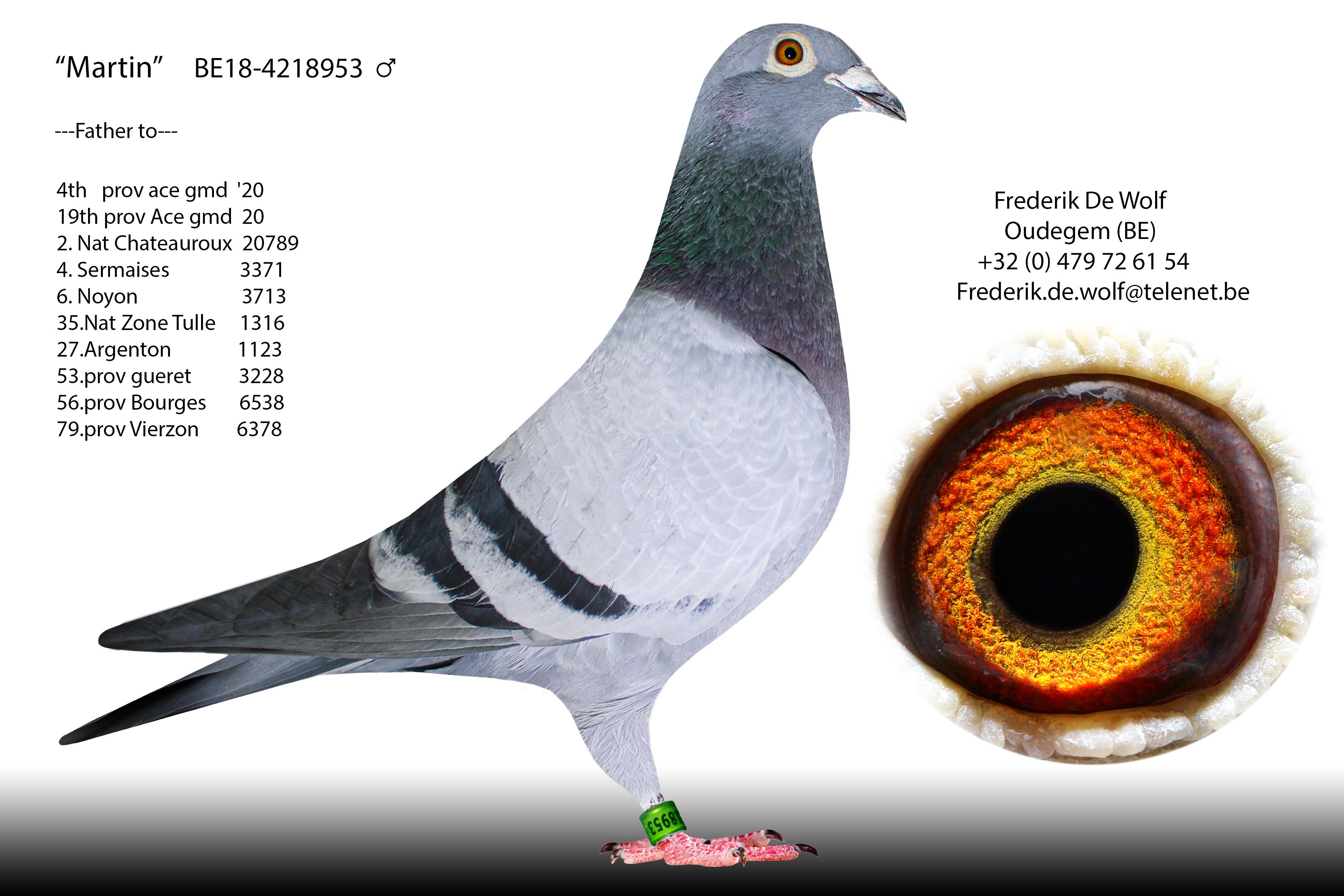 be18-42189531.jpg