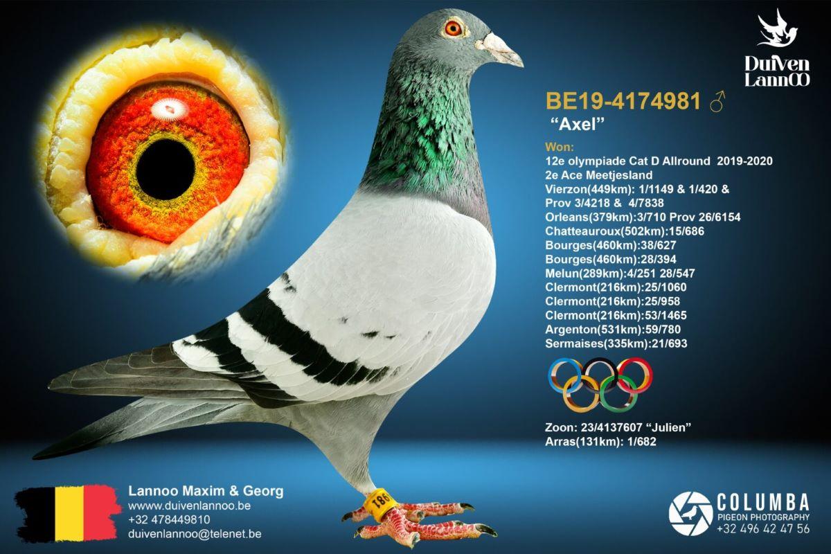 pitts-lannoo-pitts-be19-4174981-axel-foto.jpg