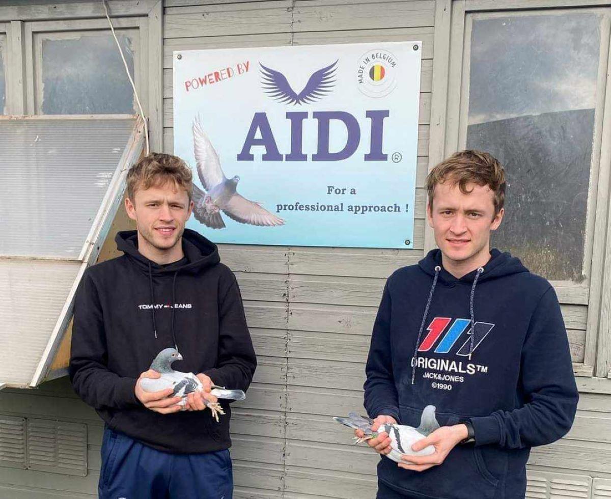 (HokRepo) MAXIM & GEORG LANNOO uit Lievegem: Top-Noteringen & ereprijzen