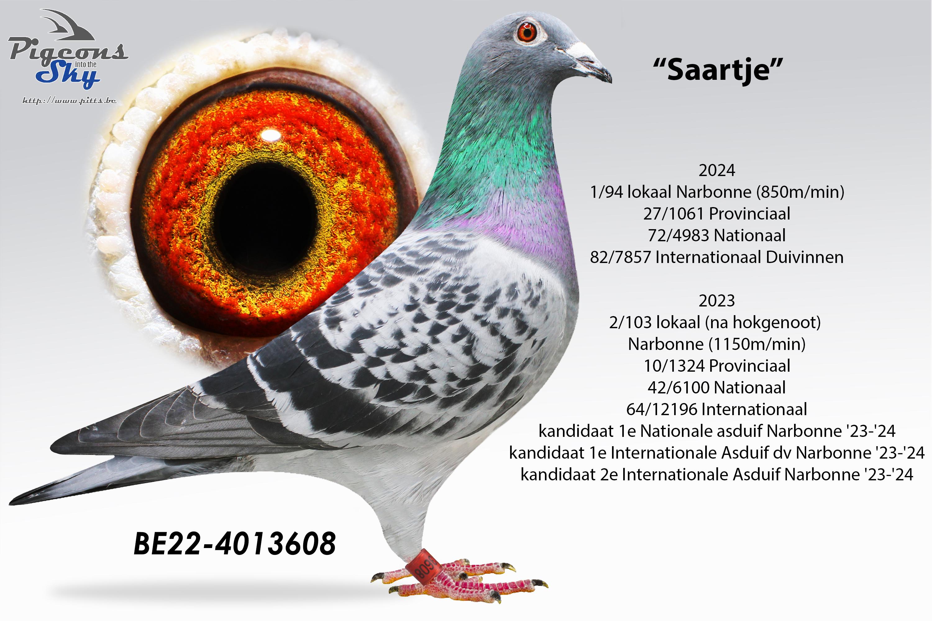 be22-4013608-met-tekst.jpg