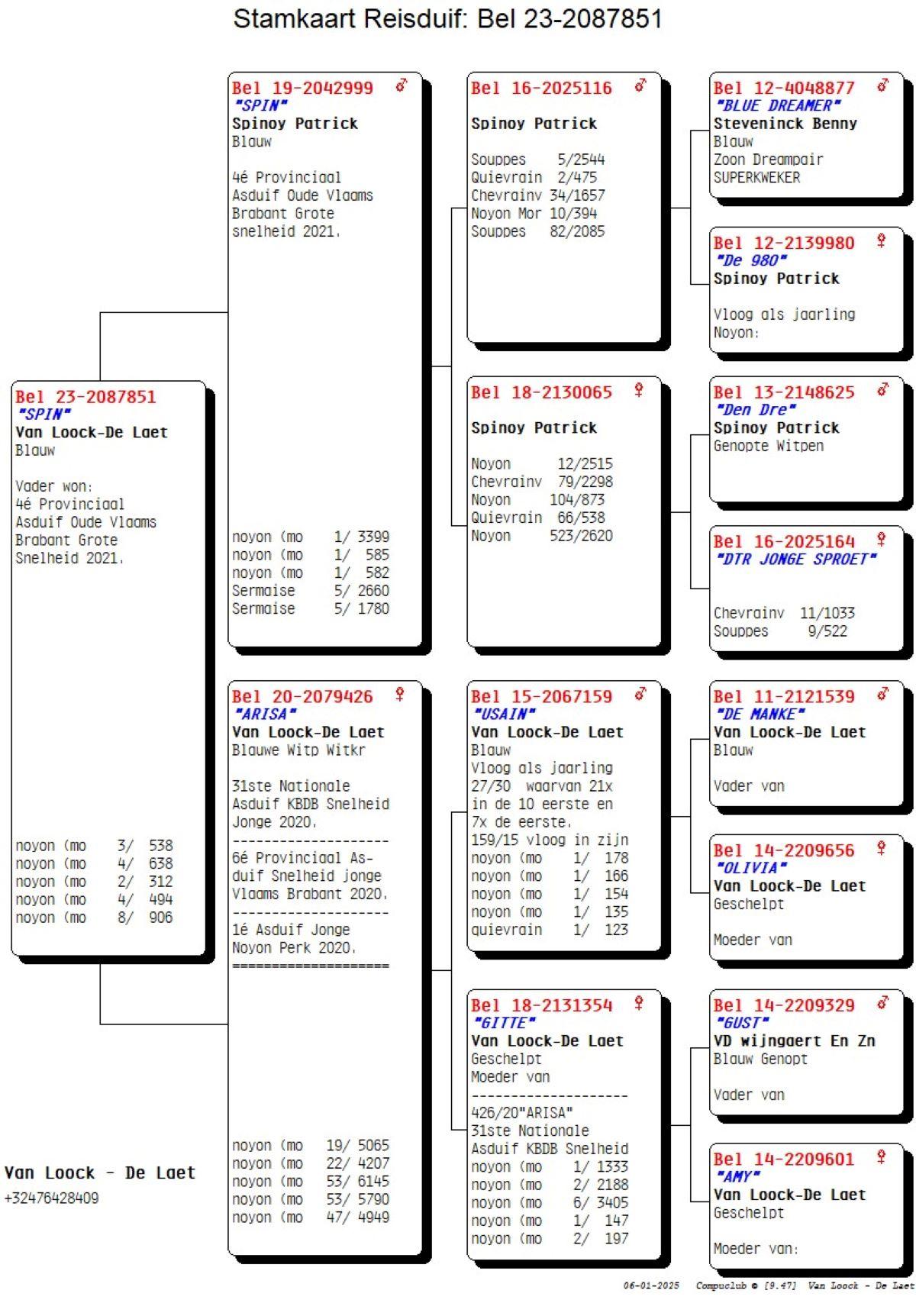 pitts-vloockdlaet-pitts-be23-2087851-spin-pedigree.jpg