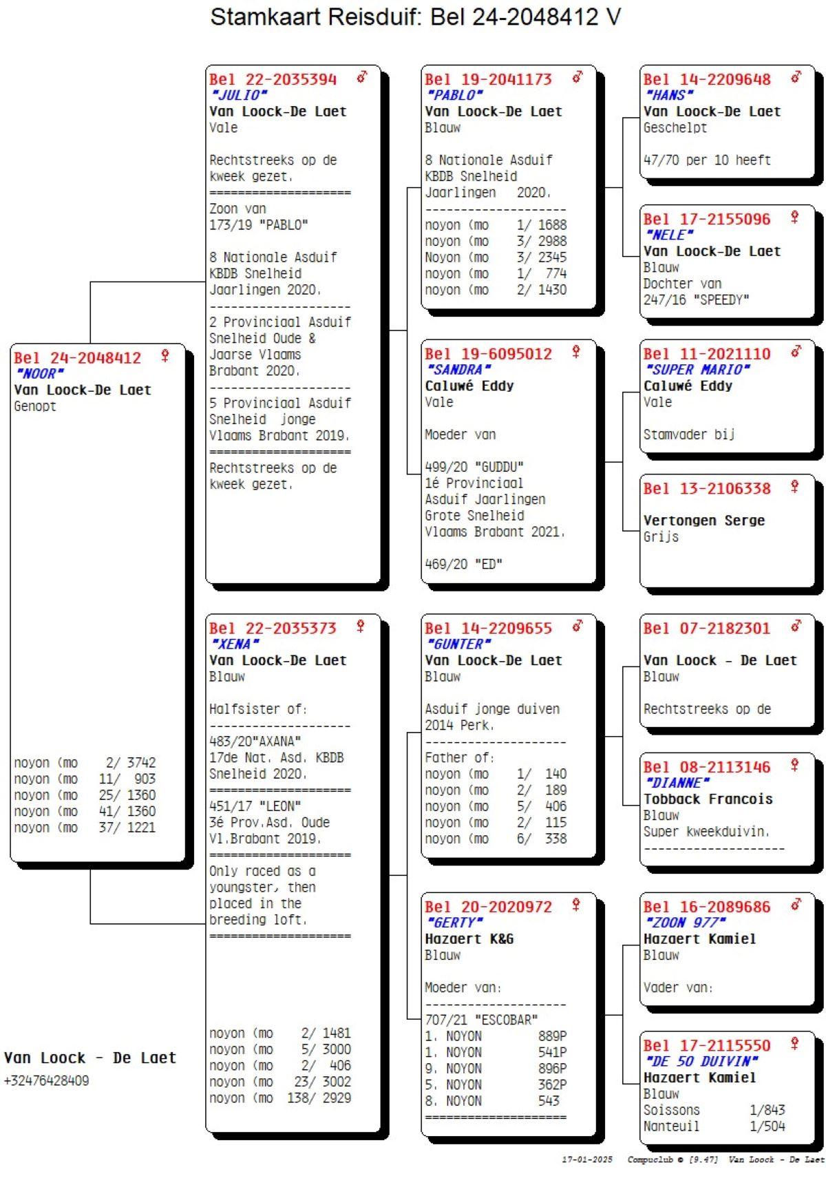 pitts-vloockdlaet-pitts-be24-2048412-noor-pedigree.jpg