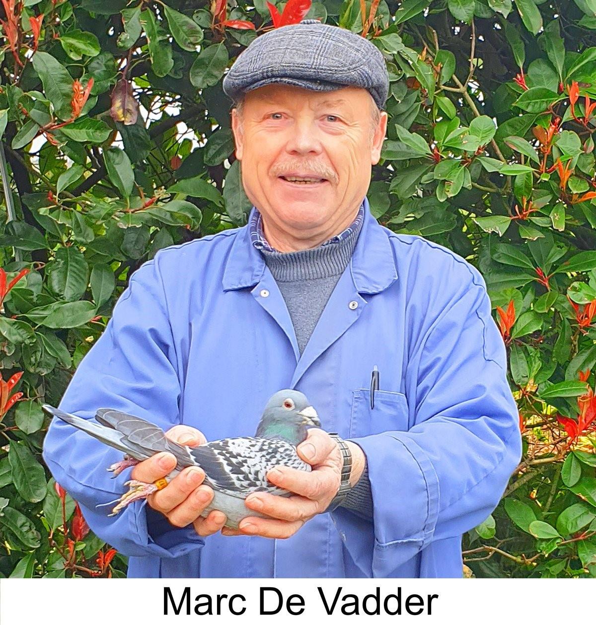 509074-marc-de-vadder-thumbm.jpg