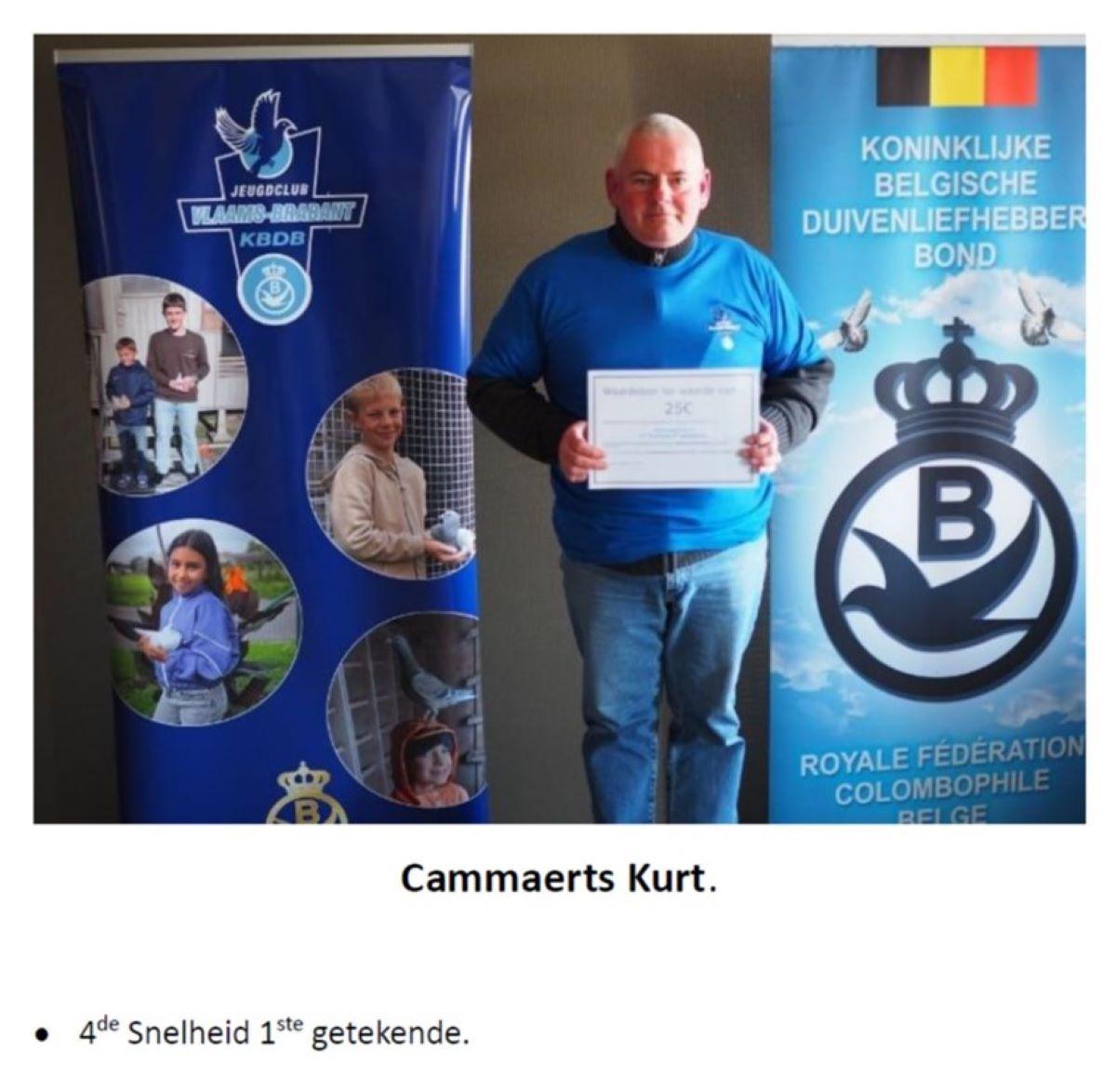 afbeelding9.jpg