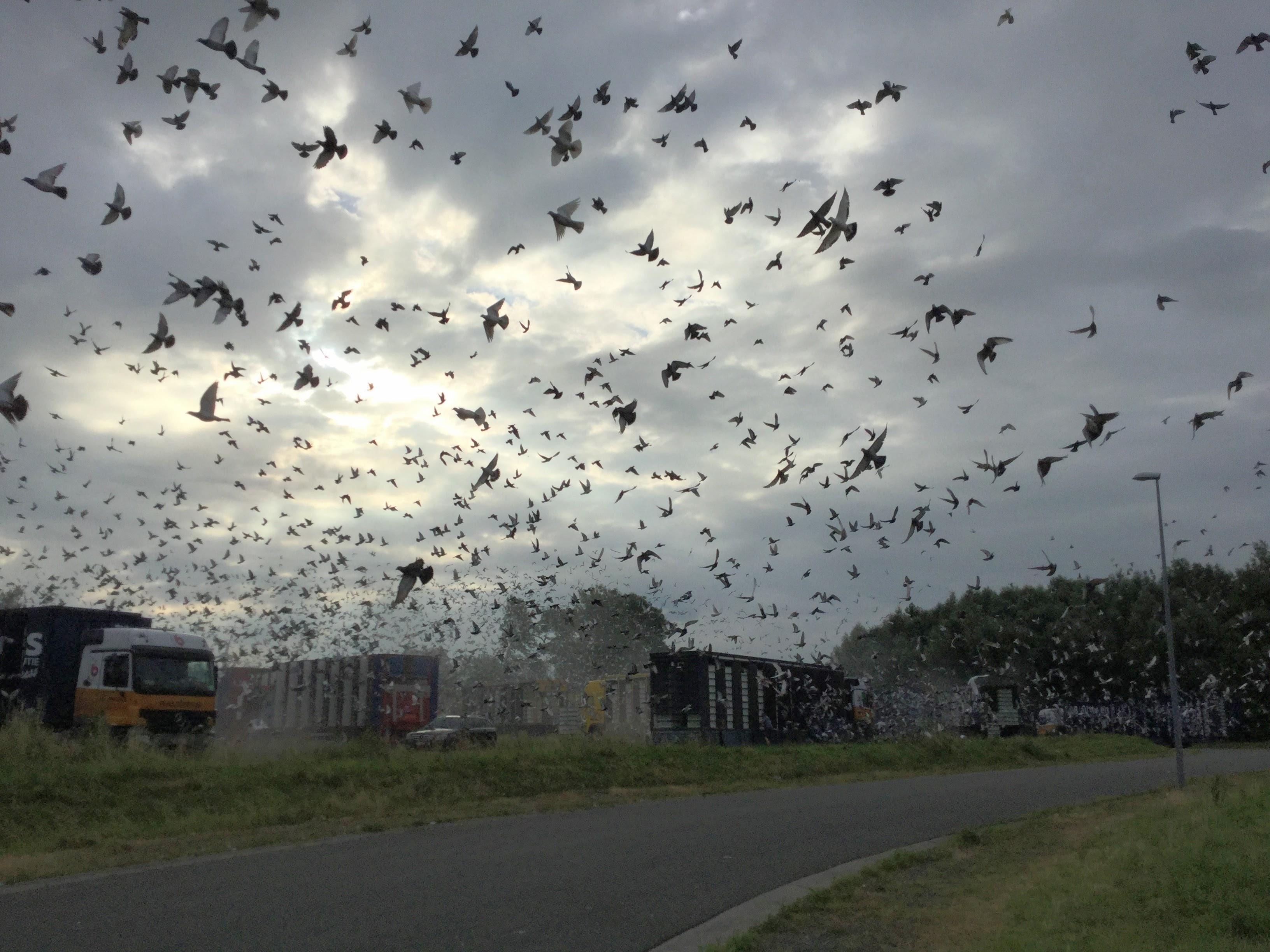 Mijmeringen bij de jaarwende