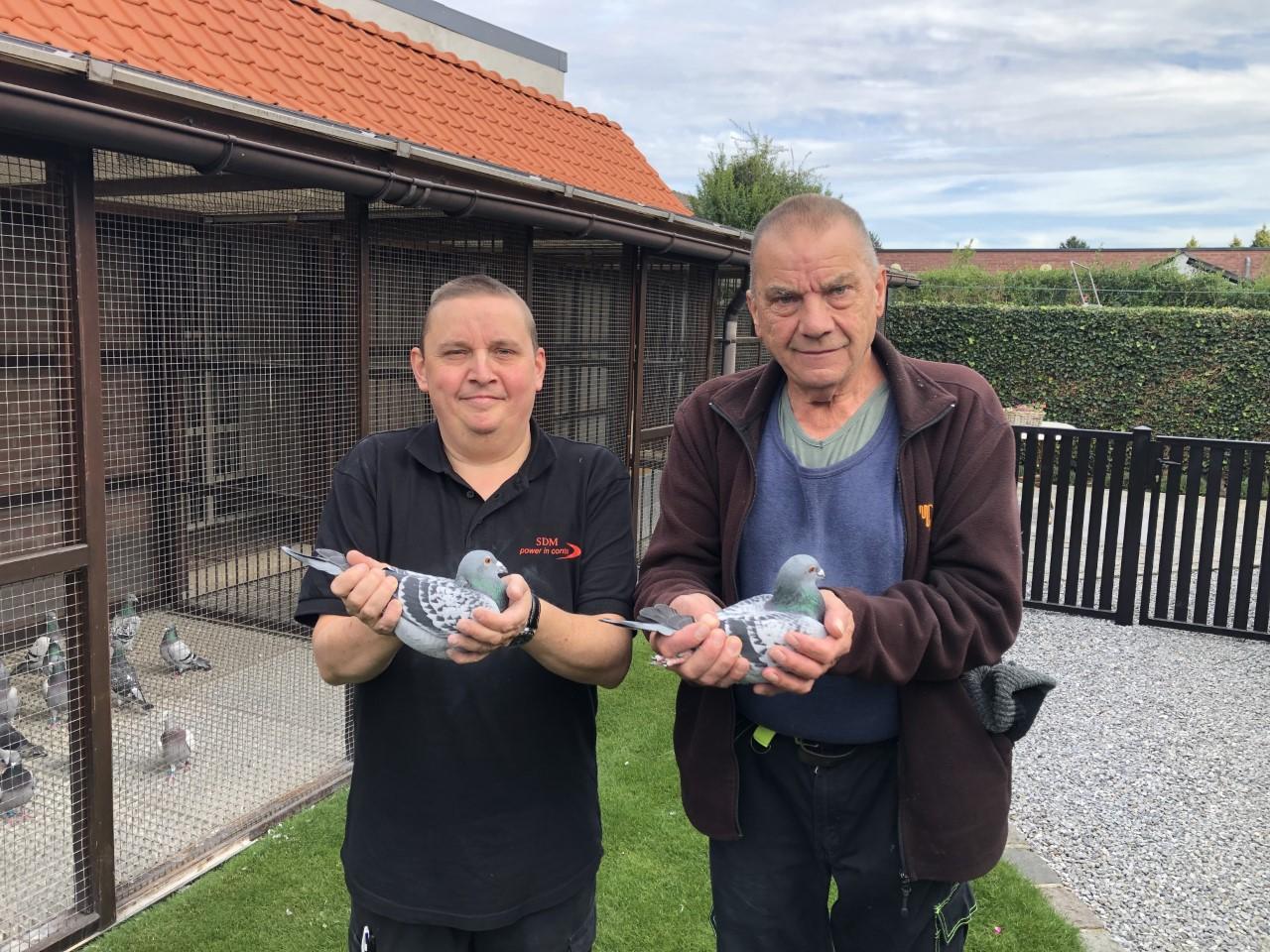 Albert en Michel Willems al vele jaren de absolute top op de marathonvluchten
