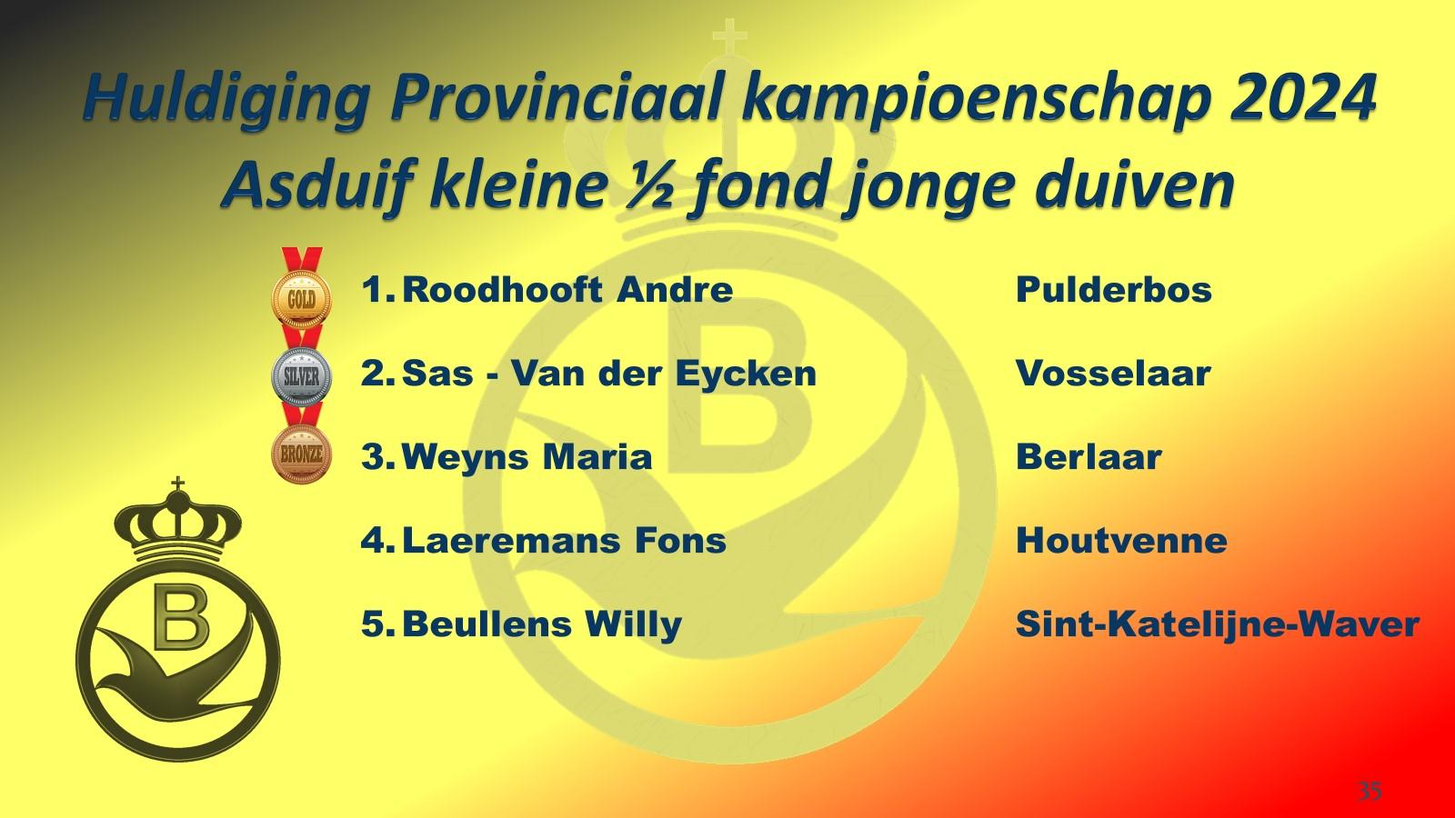 pitts-2024-12-14-pe-antwerpen-kleine-halve-fond-asduif-jonge-1.jpg