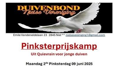 745233-duivenbond-nielse-vereniging-croppedxs.jpg