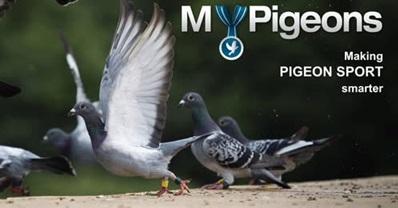 bourges-i-bu-ub-live-te-volgen-op-benzing-mypigeons.jpg