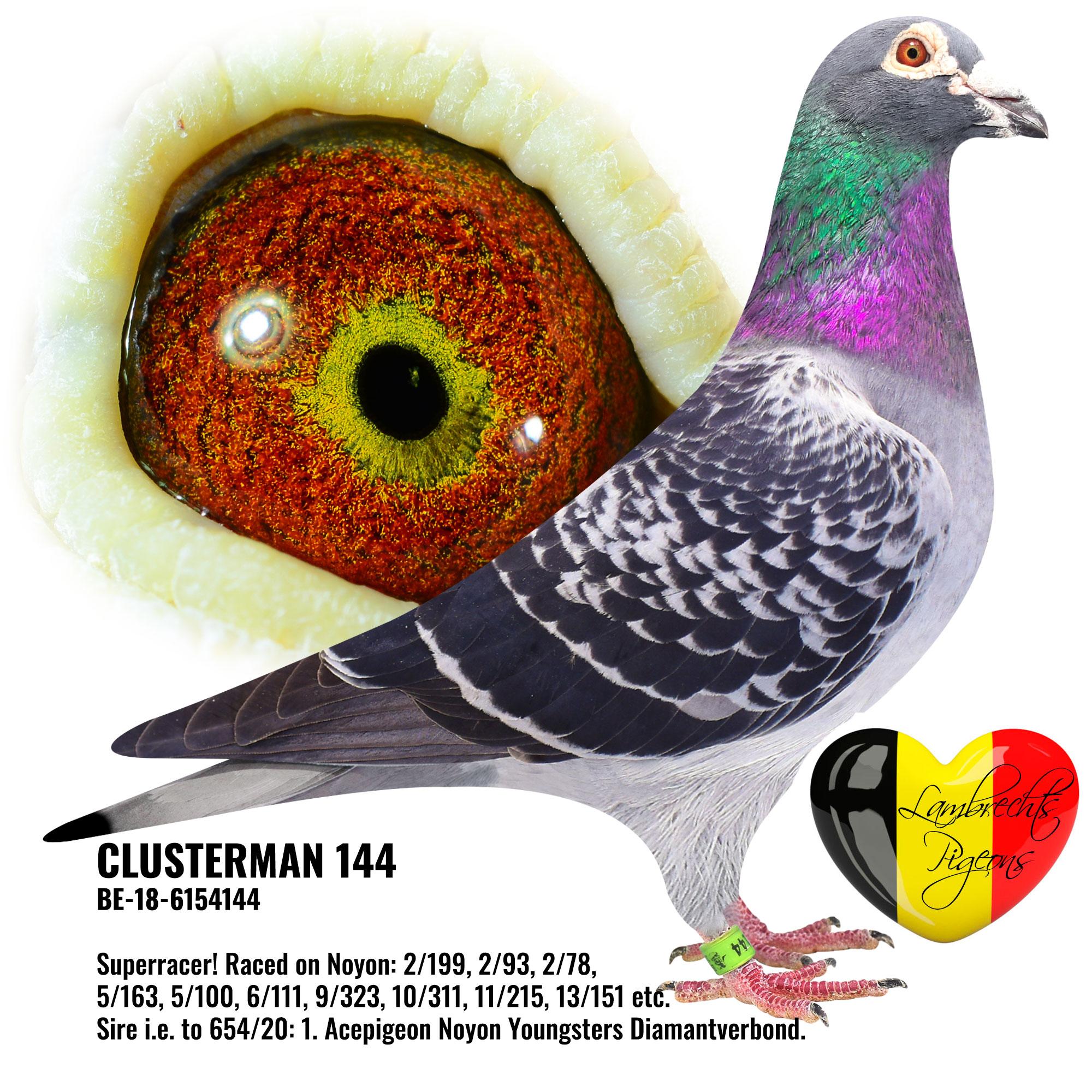 fb-lambrechts-pigoens-24-juni-3.jpg