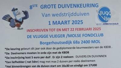 Molse Fondclub: 8e Grote Duivenkeuring Wedstrijdduiven zat 1/03