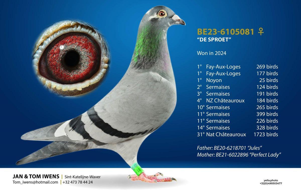 pitts-iwens-jt-pitts-be23-6105081-de-sproet-foto1.jpg