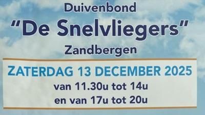 767487-snelvliegers-zandbergen-croppedxs.jpg