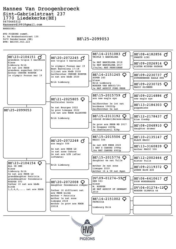 pedigree-8.jpg