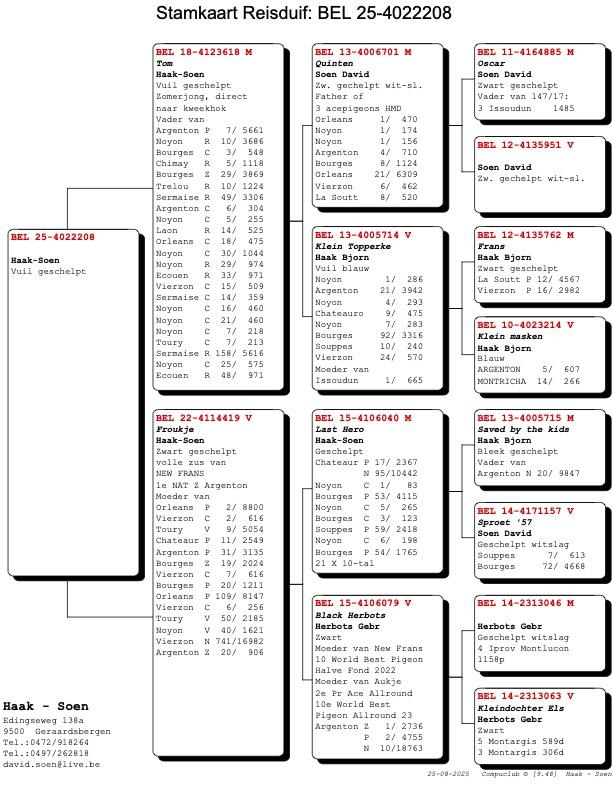 pedigree-3.jpg