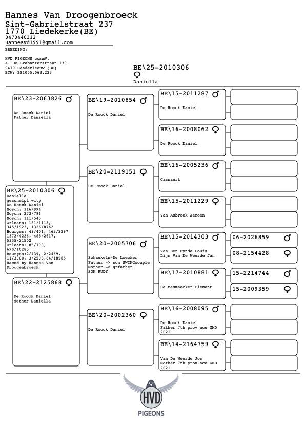 pedigree-1.jpg