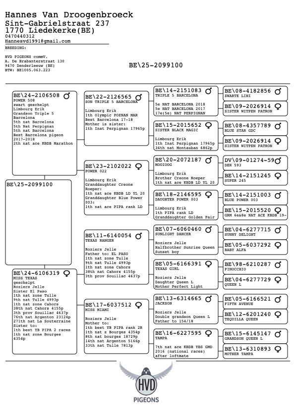 pedigree-7.jpg