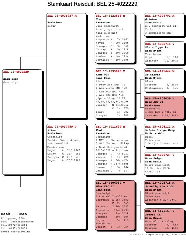 pedigree-4.jpg