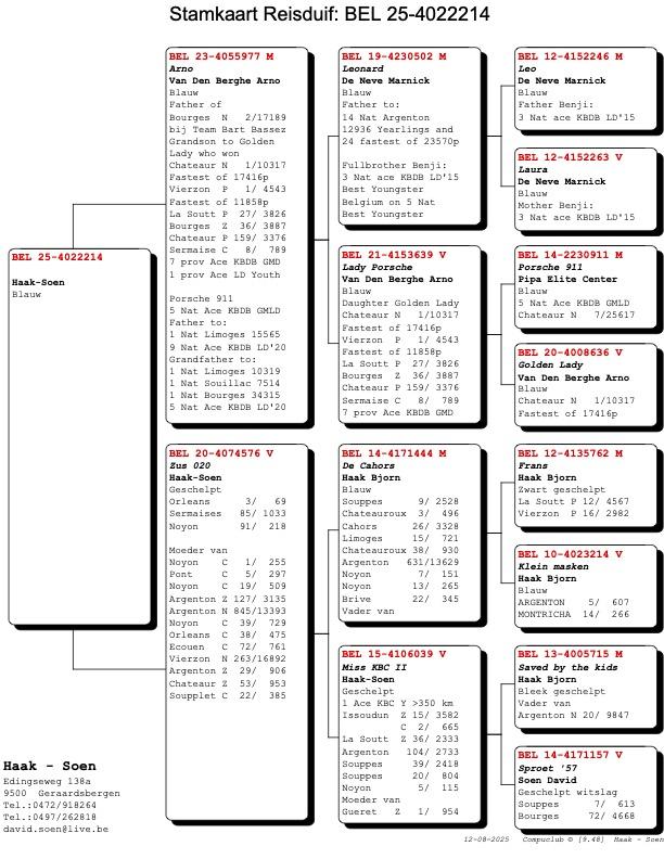 pedigree-2.jpg
