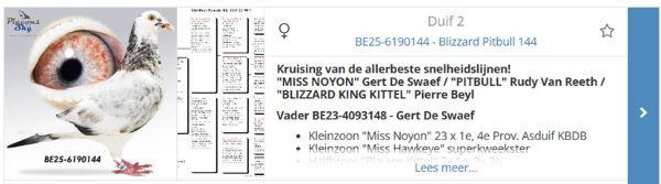 koop-2.jpg
