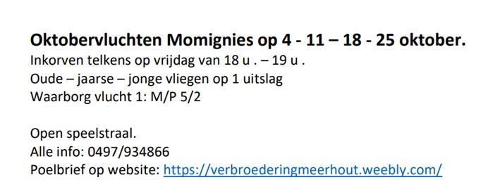 meerhout-midweekvluchten-momigniesjpg.jpg