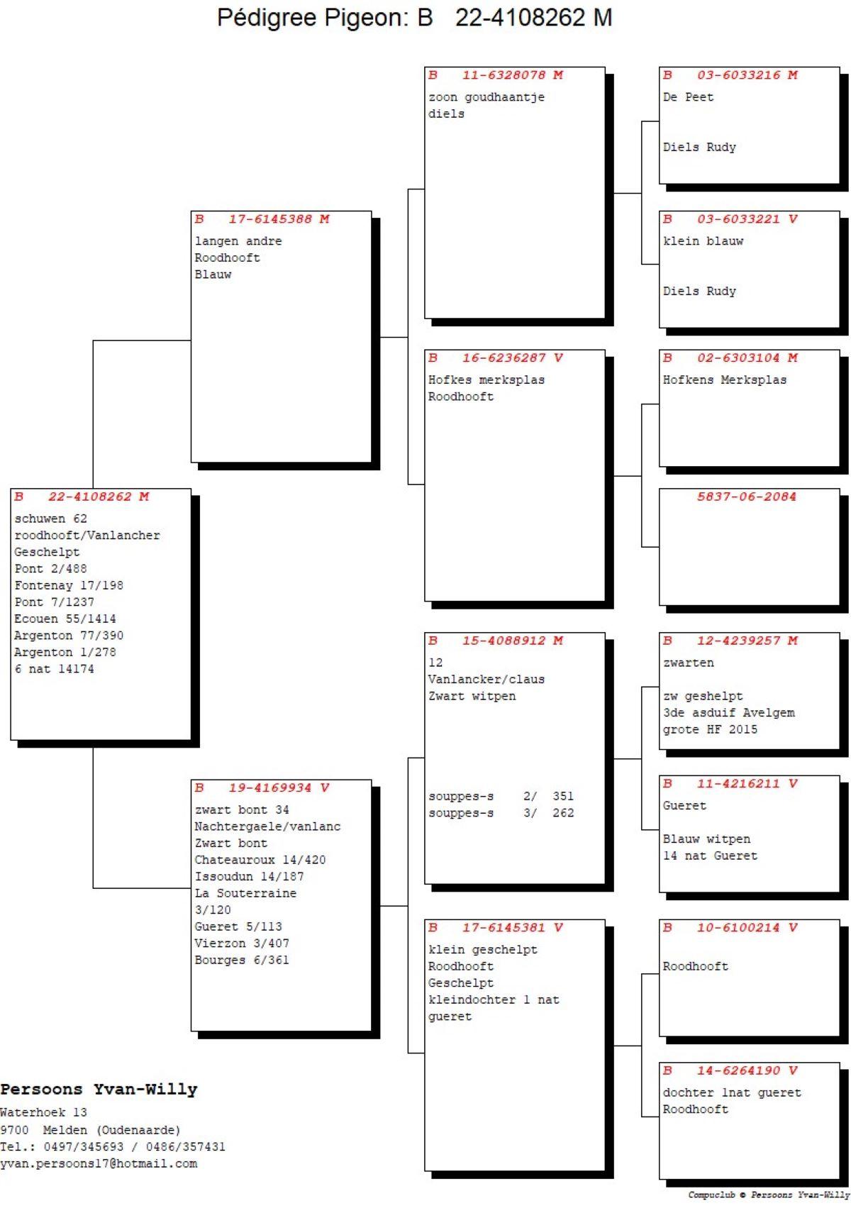 pitts-persoonsyw-pitts-be22-4108262-schuwen-62-pedigree.jpg