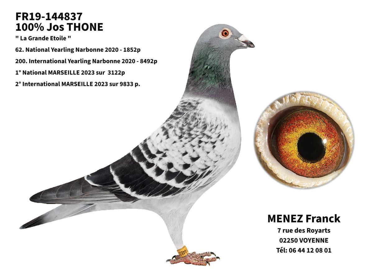 FR19-144837 'La Grande Etoile' 2e INTNAT+1e NAT Marseille 21/07/23 >Franck Menez (fbP)