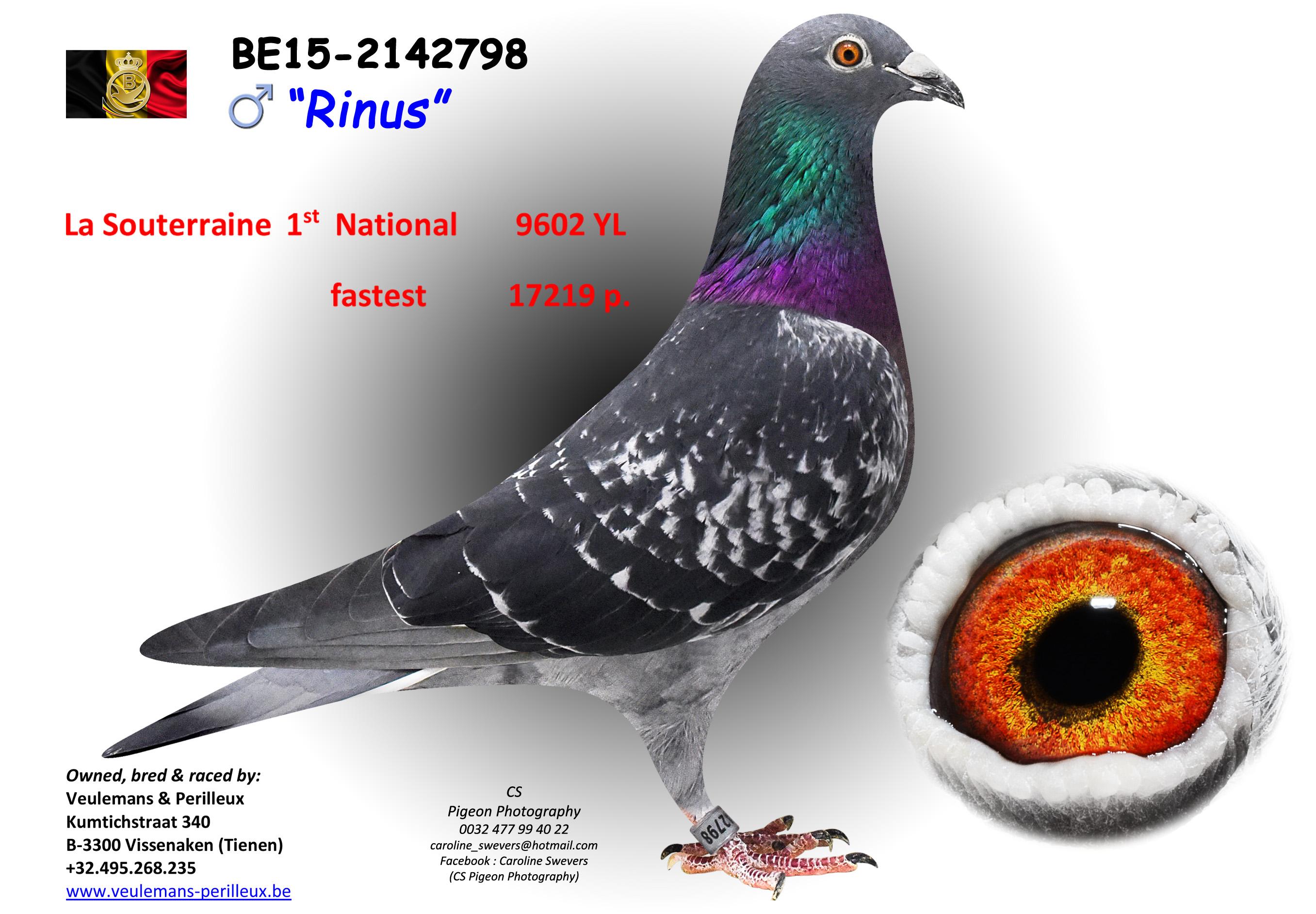 be15-2142798.jpg