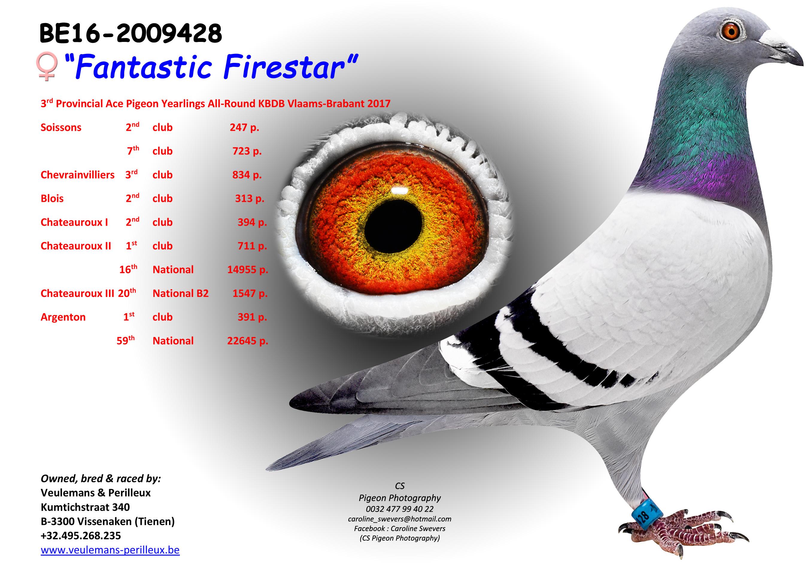 be16-2009428.jpg