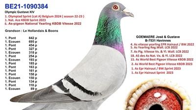 603807-pitts-goemaere-jg-pitts-be21-1090384-olympic-gustave-xiv-foto-croppedxs.jpg