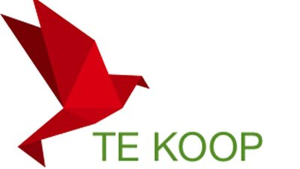 531078-530579-te-koop-croppedxs1-thumbm1.jpg