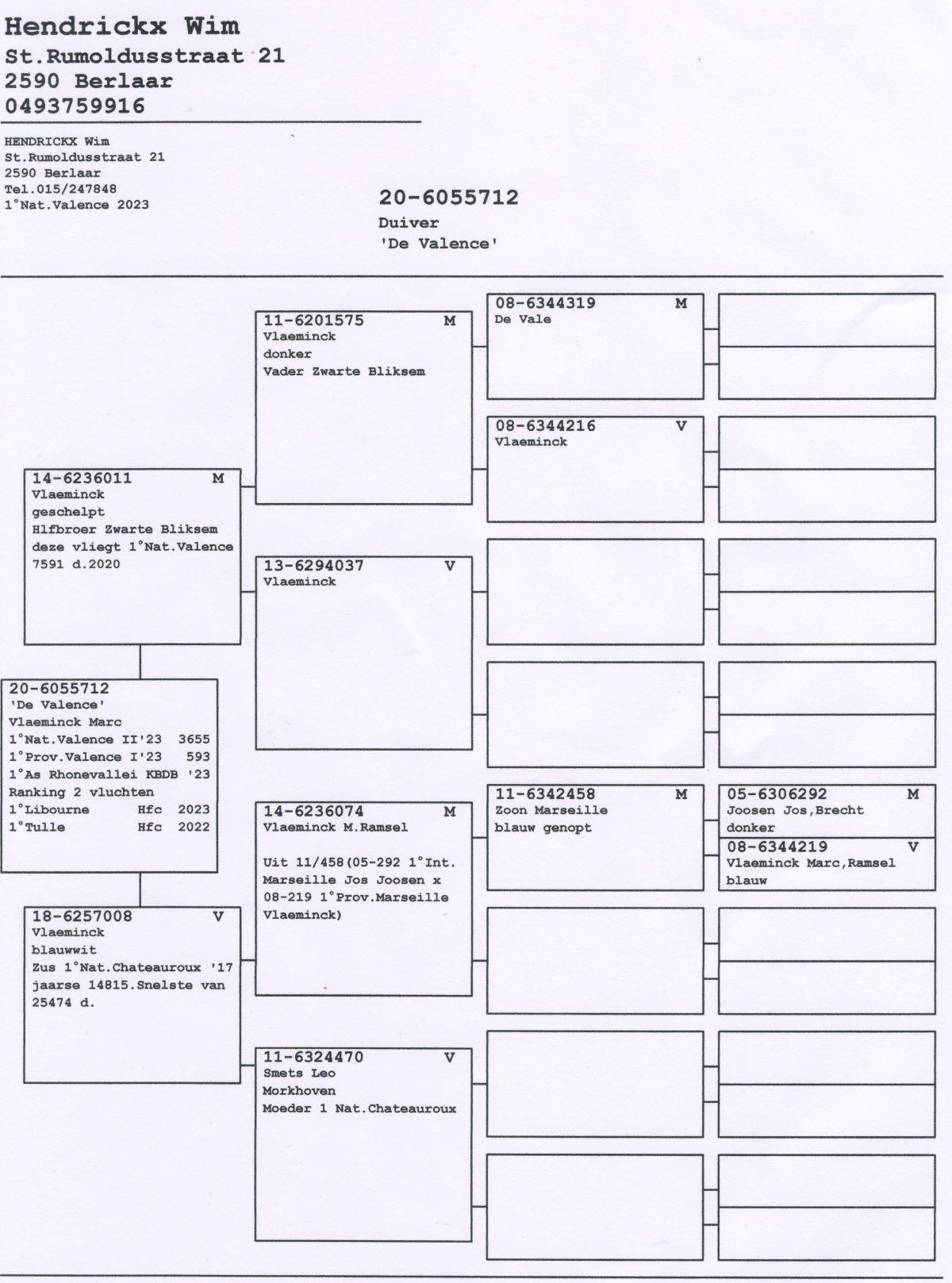 pitts-hendrickx-wim-pitts-be-20-6055712-de-valence-pedigree.jpg