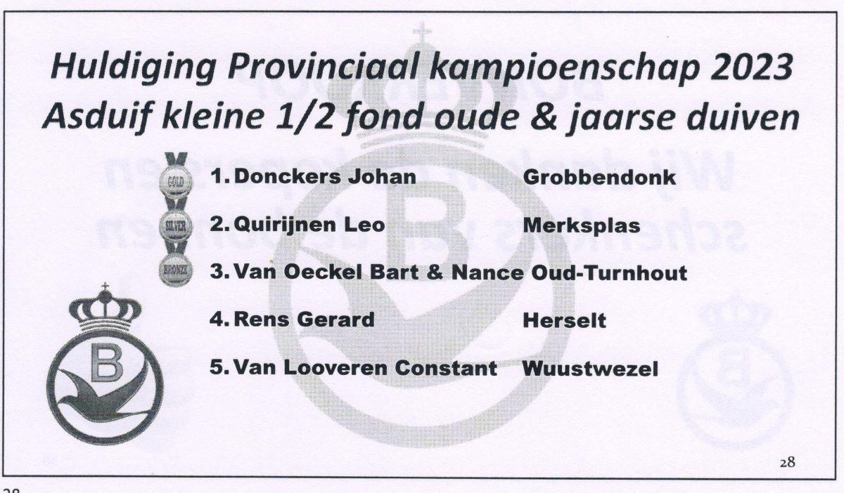 pitts-2023-12-09-pitts-pe-antwerpen-provinciale-asduif-kleine-hafo-oude-en-jaarse.jpg