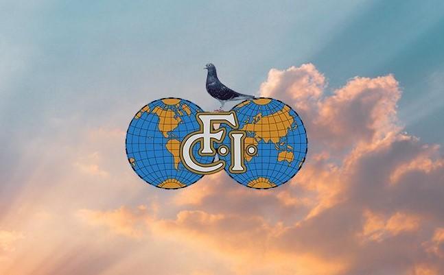 Resultaten World Best Pigeon 2023