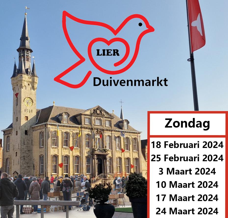 Duivenmarkt Lier 2024