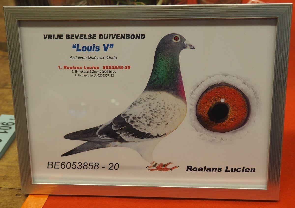 pitts-roelans-lucien-pitts-be20-6053858-louis-v-foto-pitts.jpg