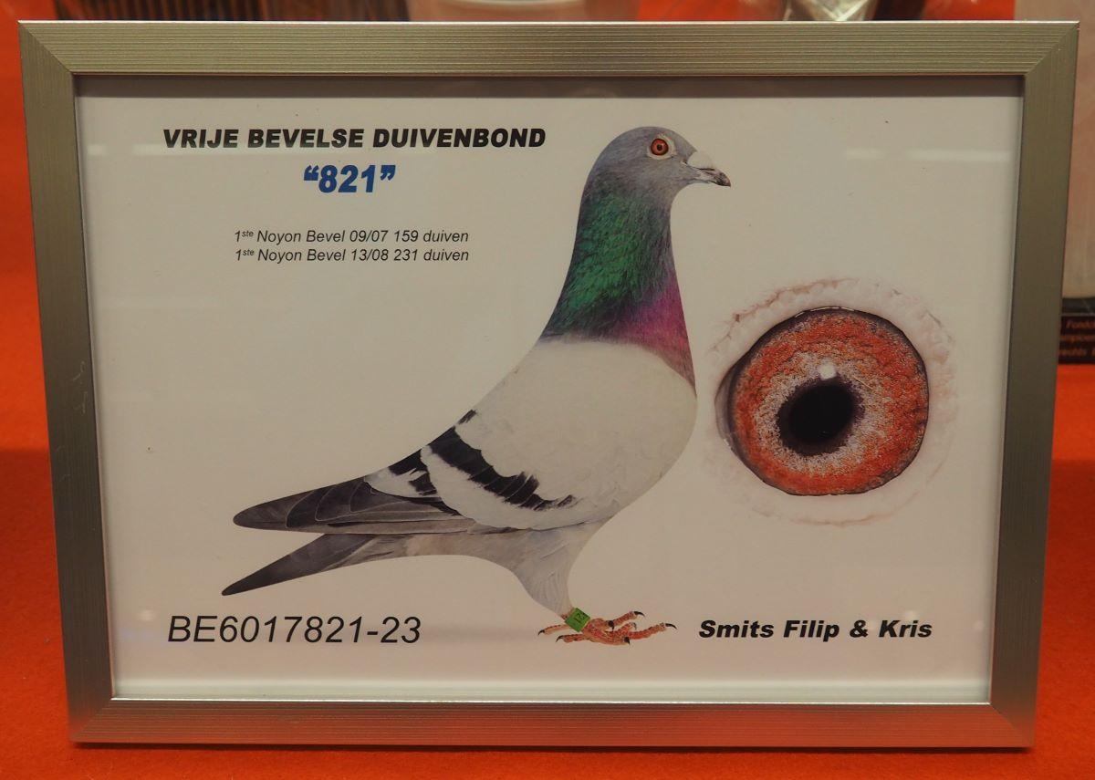 pitts-smits-fkk-pitts-be23-6017821-821-foto-pitts.jpg