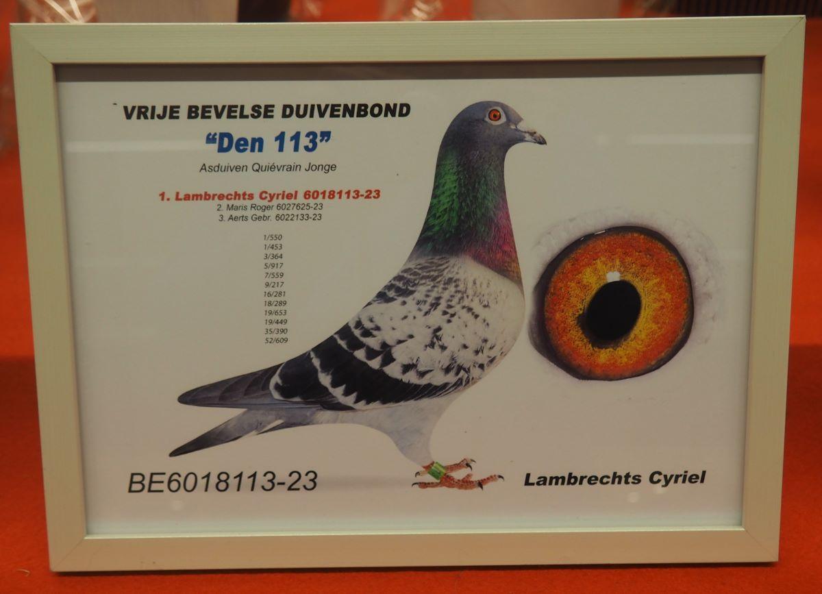 pitts-lambrechts-cyriel-pitts-be23-6018113-den-113-foto-pitts.jpg
