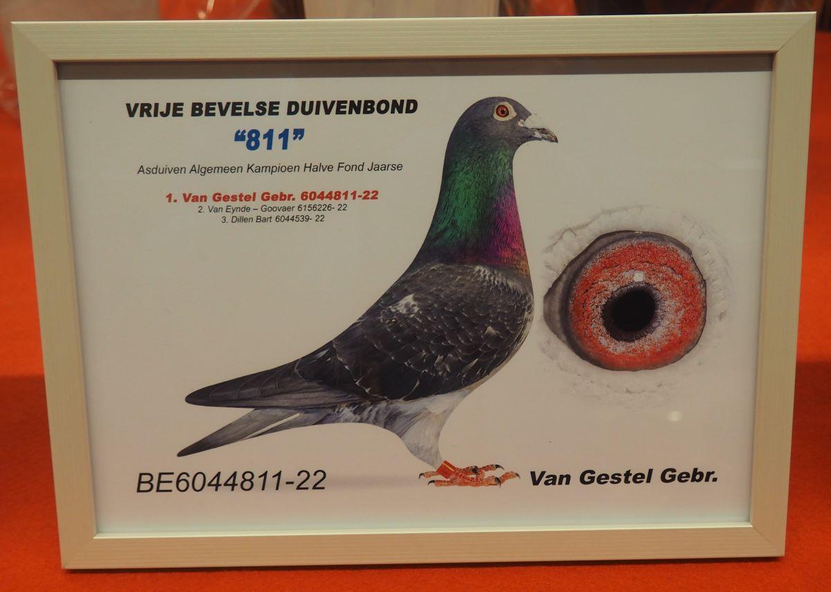 pitts-van-gestel-gebr-pitts-be22-6044811-811-foto-pitts.jpg