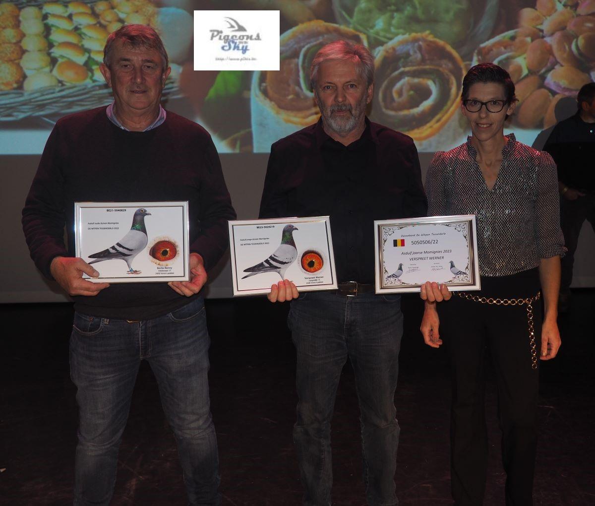 pitts-2023-11-25-pitts-tessenderlo-kamp-momignies-asduiven-1-pitts.jpg