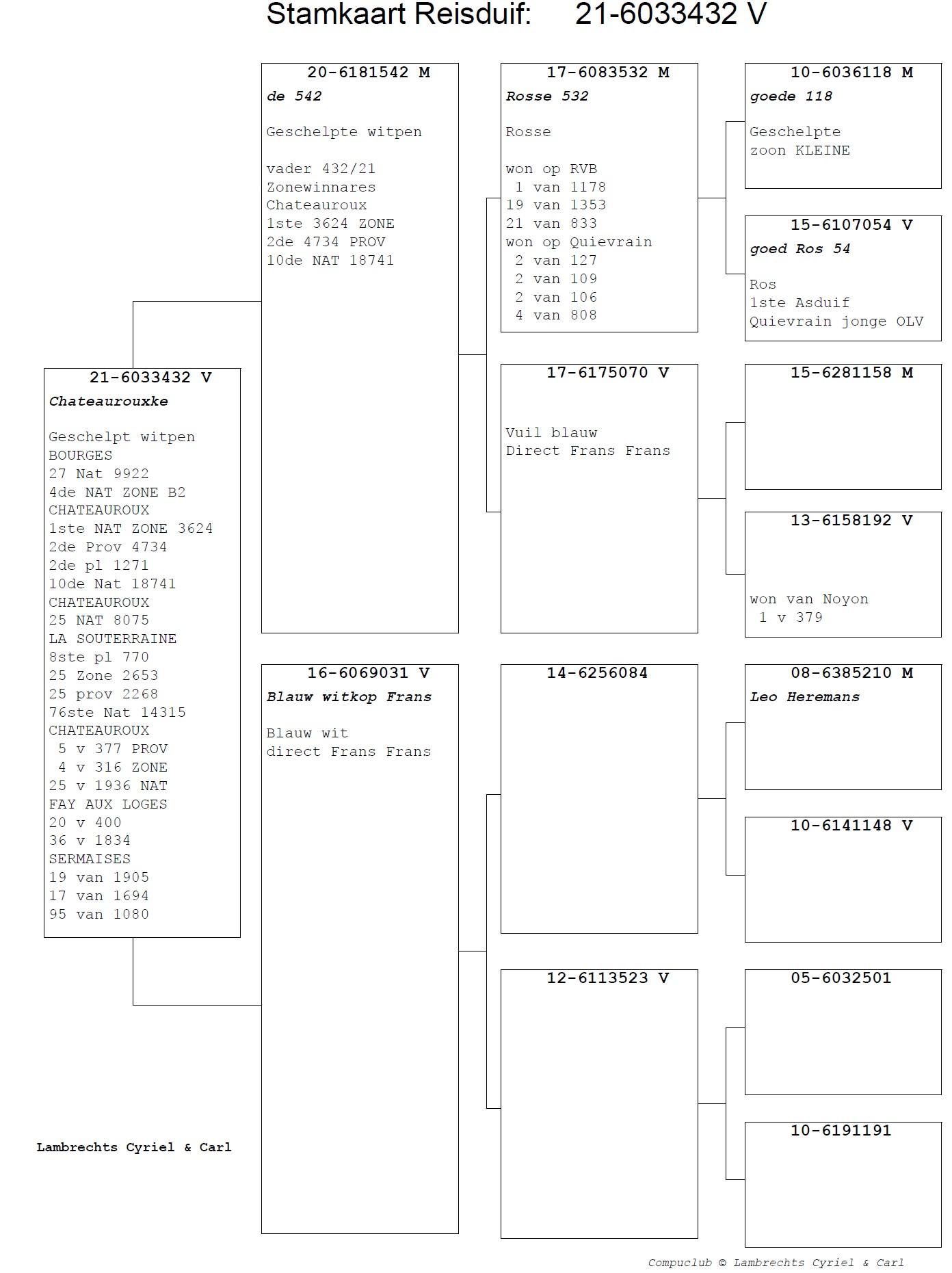 pitts-lambrechts-pigeons-pitts-be21-6033432-chateaurouke-pedigree.jpg