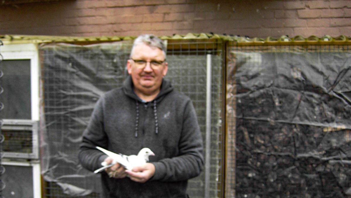 Marc Medart: mini kolonie met maxi resultaten