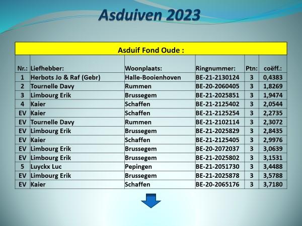 pitts-2023-pe-vlaams-brabant-prov-asduif-fond-oude-uitslag-1.jpg
