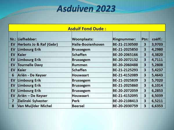 pitts-2023-pe-vlaams-brabant-prov-asduif-fond-oude-uitslag-2.jpg